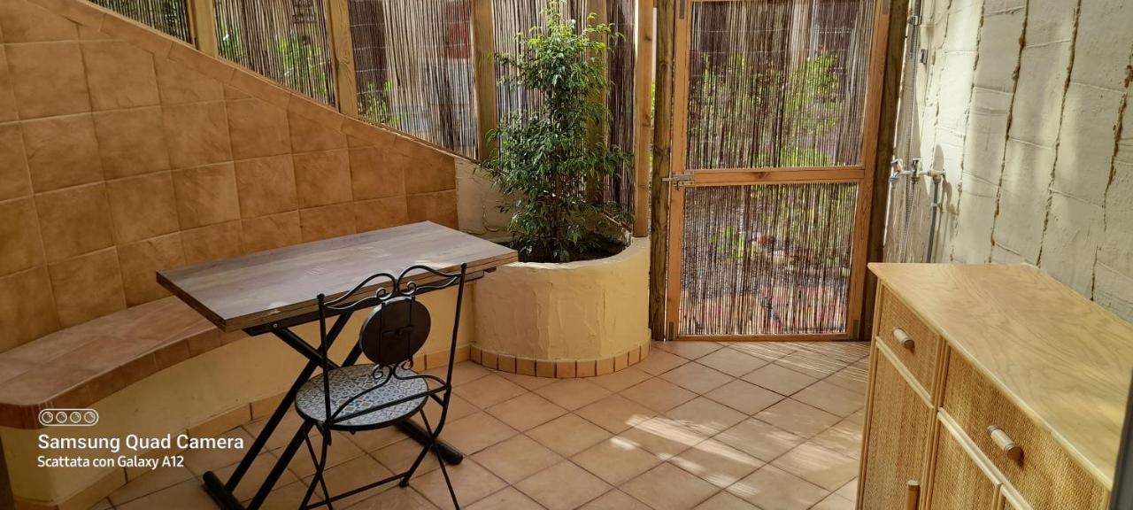 Surf & Chill Bungalow 69, Quiet Green Oasis With Community Swimmingpool Parque Holandes Ngoại thất bức ảnh