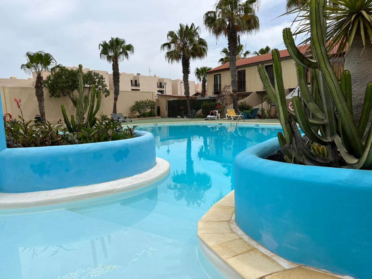 Surf & Chill Bungalow 69, Quiet Green Oasis With Community Swimmingpool Parque Holandes Ngoại thất bức ảnh