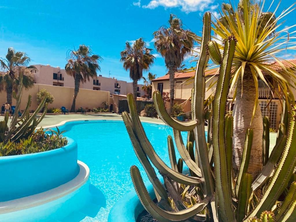 Surf & Chill Bungalow 69, Quiet Green Oasis With Community Swimmingpool Parque Holandes Ngoại thất bức ảnh