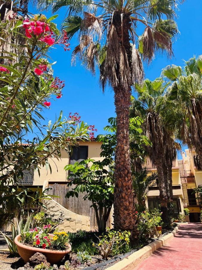 Surf & Chill Bungalow 69, Quiet Green Oasis With Community Swimmingpool Parque Holandes Ngoại thất bức ảnh